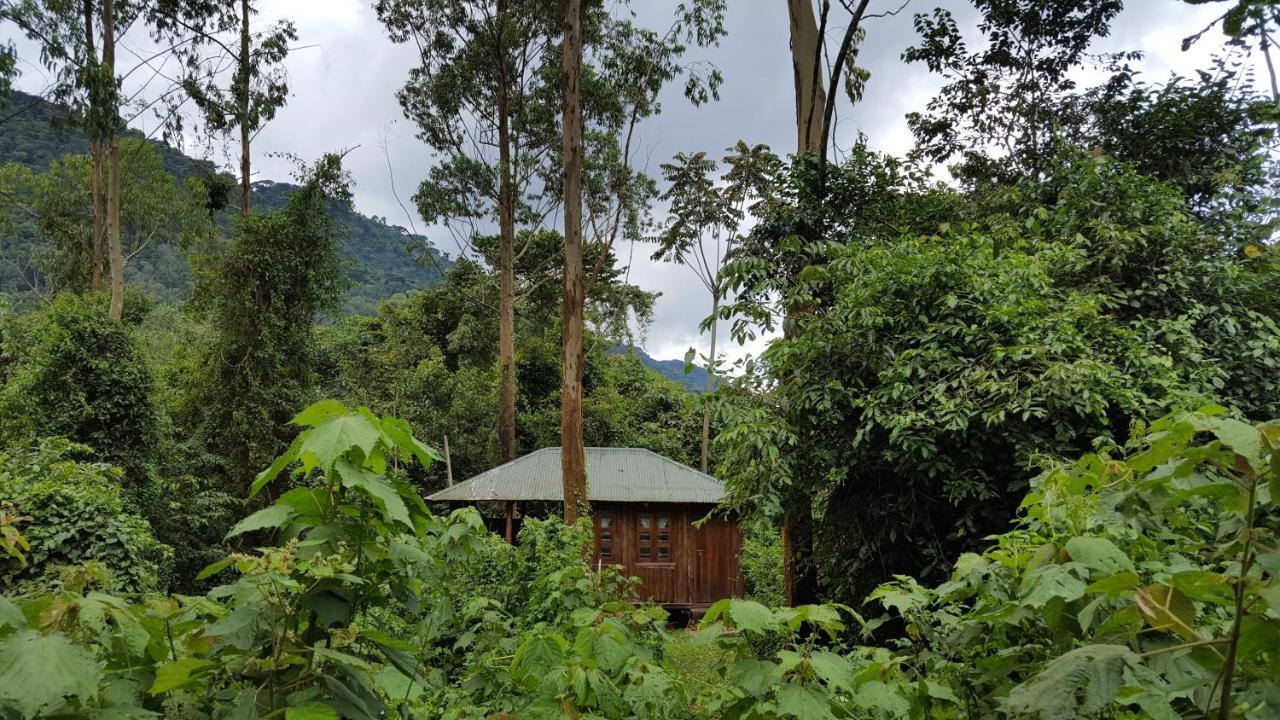 Bwindi Guest House Kanungu Buitenkant foto