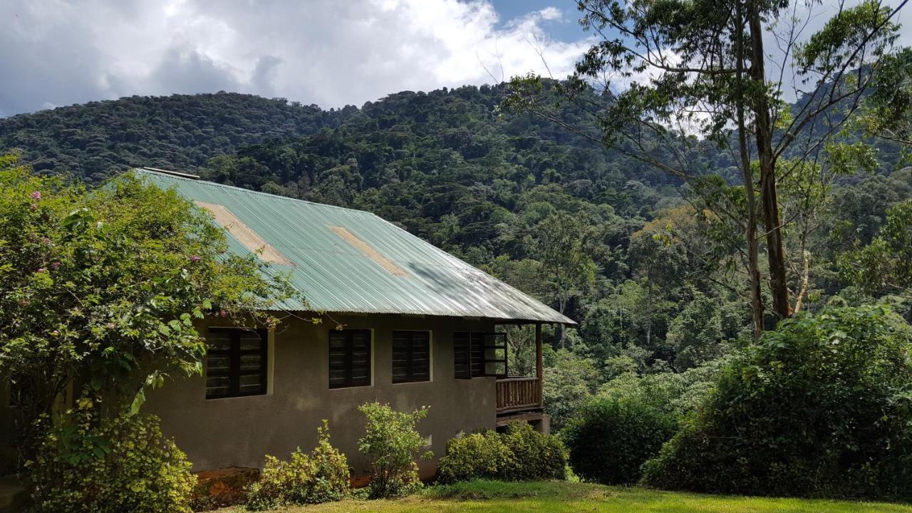 Bwindi Guest House Kanungu Buitenkant foto